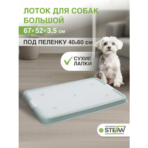 Туалет-лоток с сеткой для собак STEFAN, большой (L) 67х52х3,5см, бело-голубой, 1318NGW