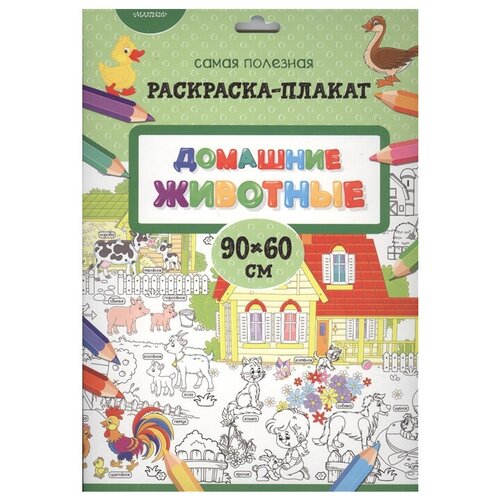 АСТ Домашние животные. Раскраска-плакат электронный плакат домашние животные