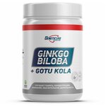 Geneticlab Ginkgo biloba 60serv - изображение