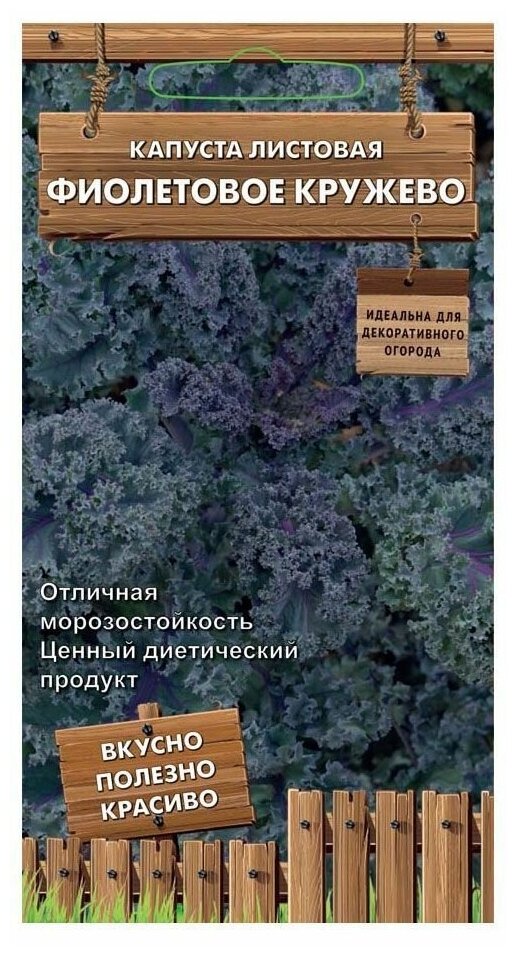 Семена Капуста листовая Фиолетовое кружево 01 гр.