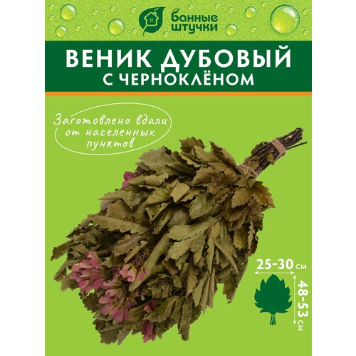 веник липовый в уп банные штучки Веник дубовый с черноклёном в уп. Банные штучки