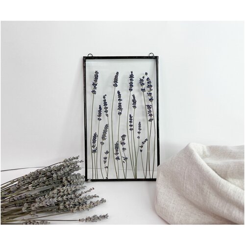 Панно на стену Гербарий в стекле Лаванда 