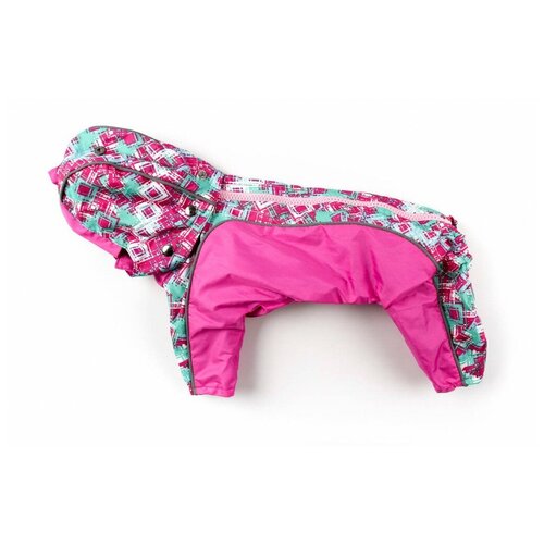 Дождевик Дружок