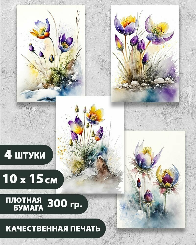 Набор открыток Весенние цветы Сон-трава Подснежники, 10.5 см х 15 см, 4 шт, InspirationTime, на подарок и в коллекцию