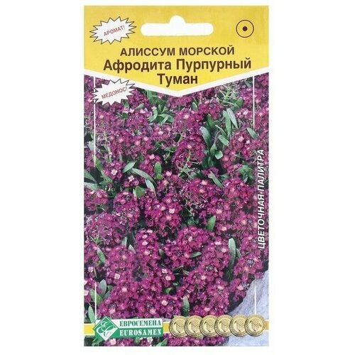 Семена Цветов Алиссум морской Афродита Пурпурный туман, 0,02 г 10 упаковок милоградская г туман луизианы