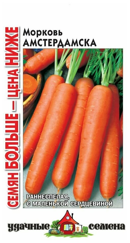 Удачные семена Морковь Амстердамска Семян больше , 3 грамма