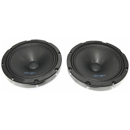 Широкополосная акустическая система Ivolga UP-802 557000₽