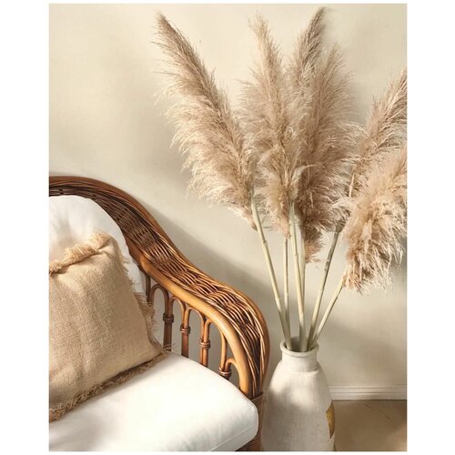 Сухоцветы для декора, камыш натуральный, букет из 10шт