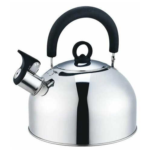 фото Чайник со свистком, 2,5 л zeidan z-4110-25
