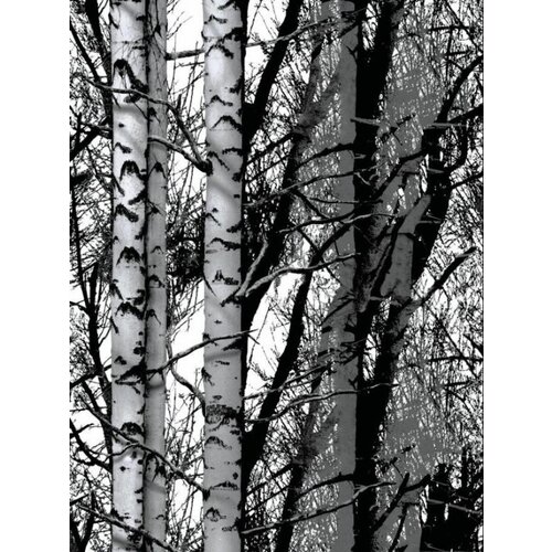 343-1007 Пленка самоклеящаяся D-C-FIX декор лес