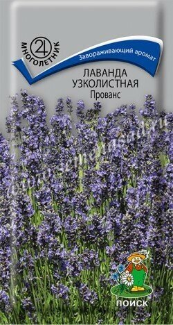 Лаванда узколистная Прованс0,1г (Поиск)