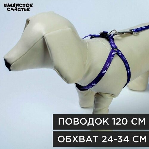 Комплект Мур Мур шлейка 24-34х1 см поводок 120 см 650₽