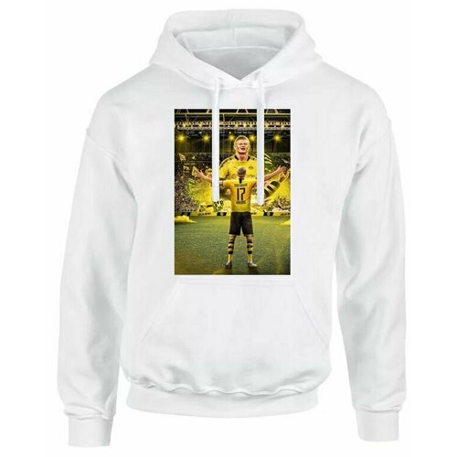 фото Толстовка , размер 66, мультиколор mewni-shop