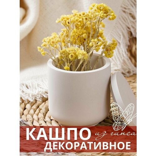 Стакан из гипса гладкий с крышкой, кашпо