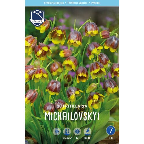 Фритиллярия (рябчик) Михайловского (michailovskyi), 10 шт