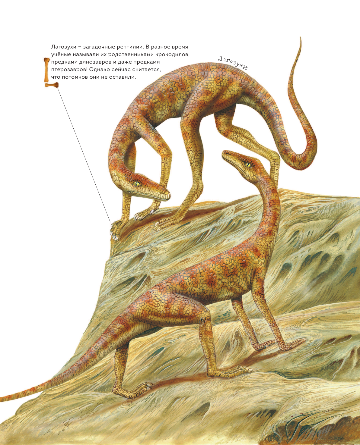 Динозавры триасового периода (Попов Ярослав Александрович) - фото №8