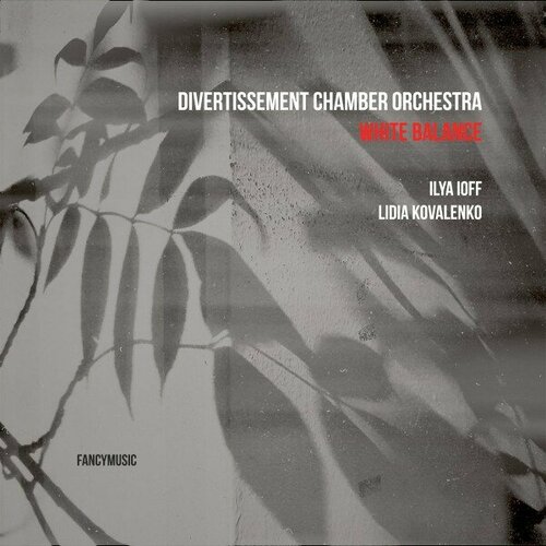 Компакт-диск Warner Divertissement Chamber Orchestra – White Balance