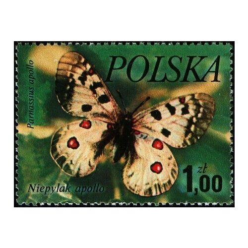 (1977-034) Марка Польша Аполлон Бабочки III Θ