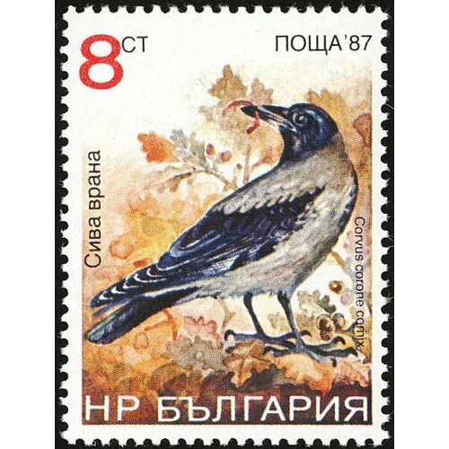 (1988-070) Марка Болгария Серая ворона Птицы III Θ 1959 025 марка болгария куропатка серая птицы iii θ