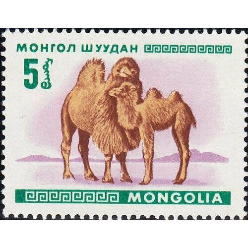 (1968-001) Марка Монголия Двугорбый верблюд Молодые животные III O