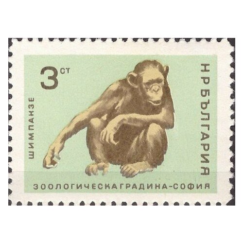 (1966-031) Марка Болгария Шимпанзе Софийский зоопарк III Θ 1966 060 марка болгария в комаров к феоктистов и б егоров исследование космоса iii θ