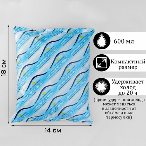 фото Аккумулятор холода, 600 мл, 18 х 14 х 3 см россия