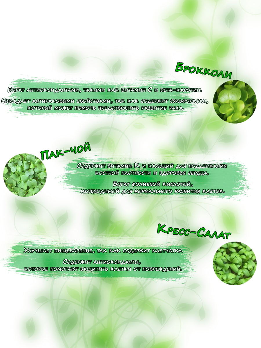 Набор микрозелени для выращивания "Микрогенезис" 3 культуры - фотография № 2
