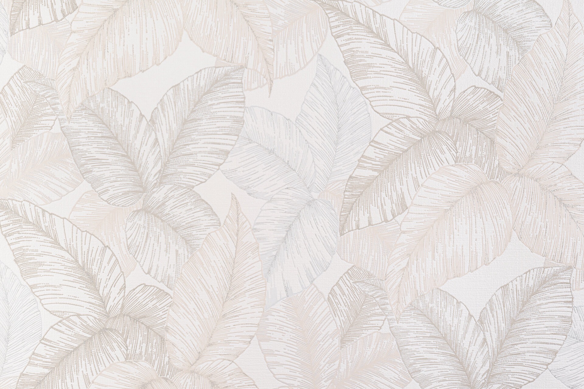 фото Обои Артекс Флора 20119-01