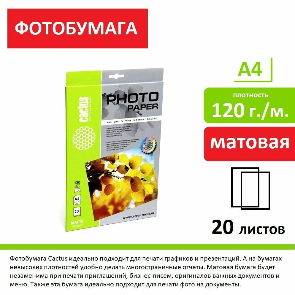 Фотобумага Cactus CS-MA412020 A4/120г/м2/20л/белый матовое для струйной печати