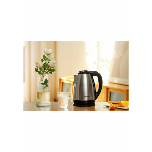 Чайник электрический 119900₽