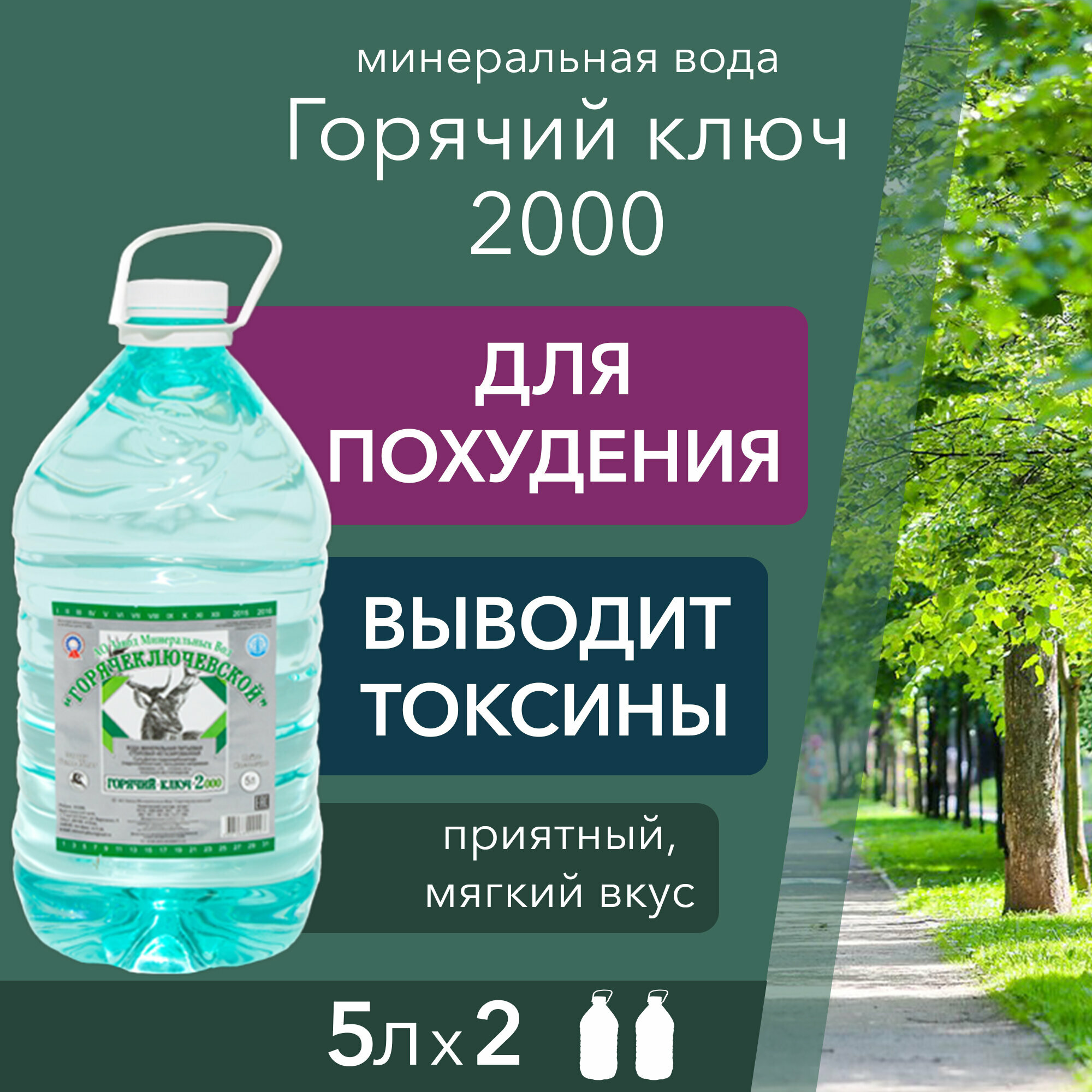 Вода Горячий Ключ 2000. Объем 5л*2. Вода минеральная негазированная природная целебная лечебная, выводит токсины, для детей - фотография № 1