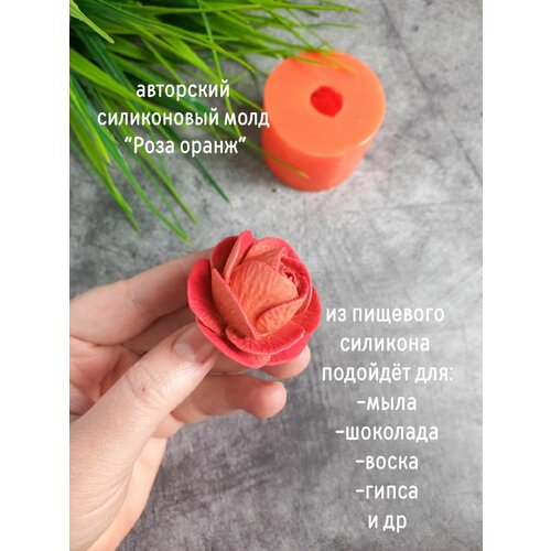 роза оранж джевел миниатюрная топалович Молд  Роза оранж 