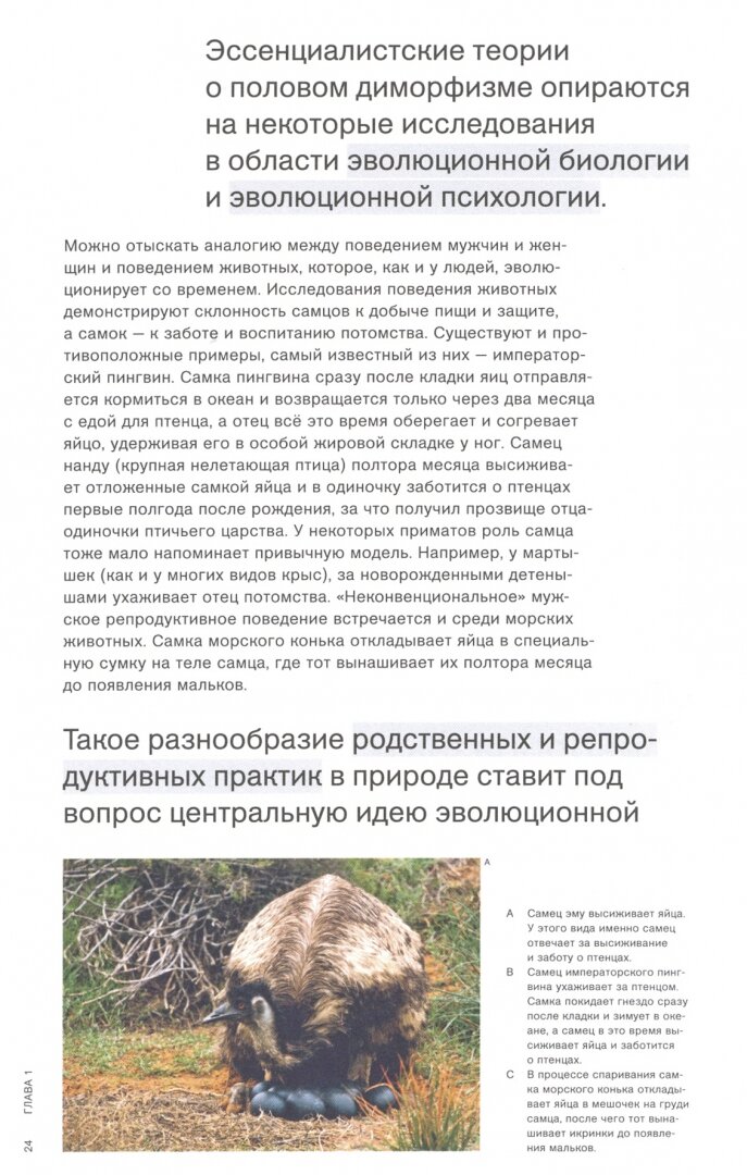 Может ли гендер меняться? (Хайнс С.) - фото №2