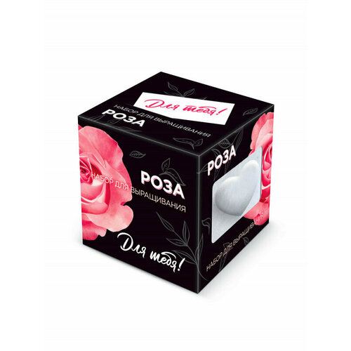 Подарочный набор для выращивания растений Для тебя! 