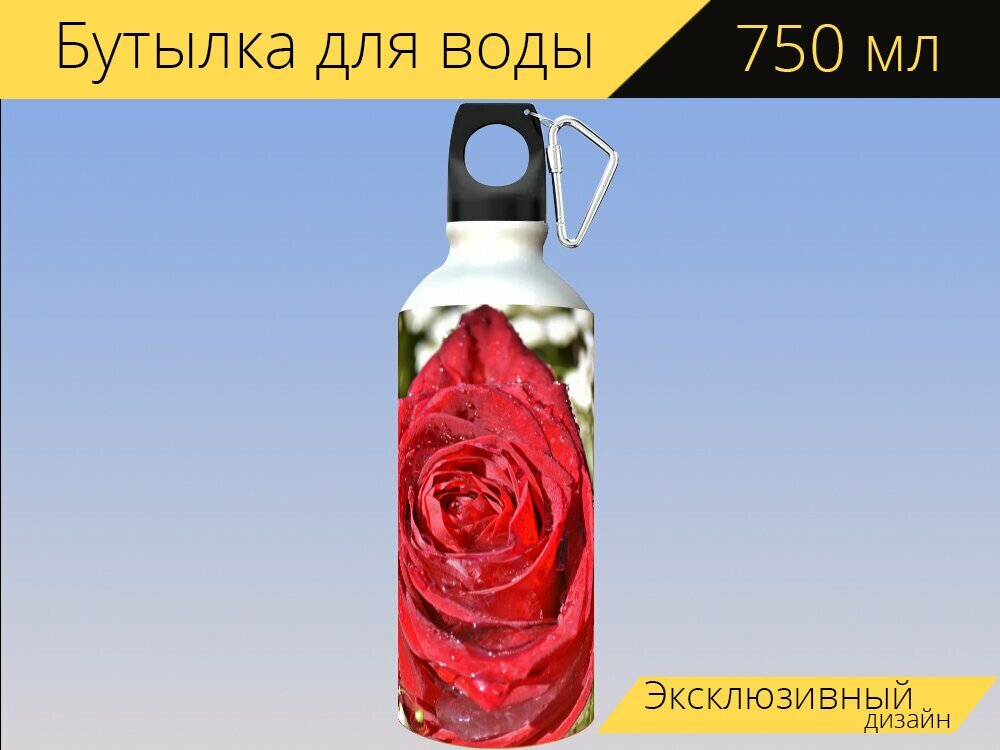 Бутылка фляга для воды 