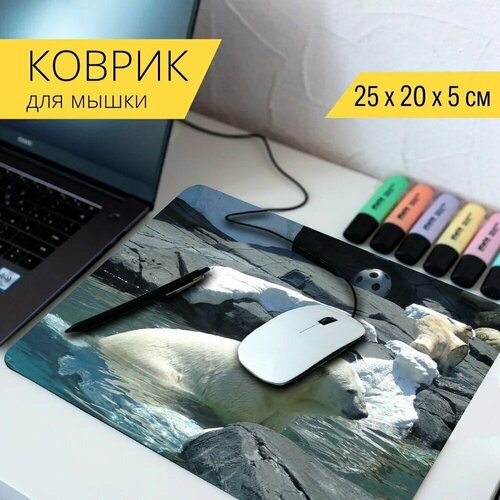 Коврик для мыши с принтом Дикая природа, природа, животное 25x20см.