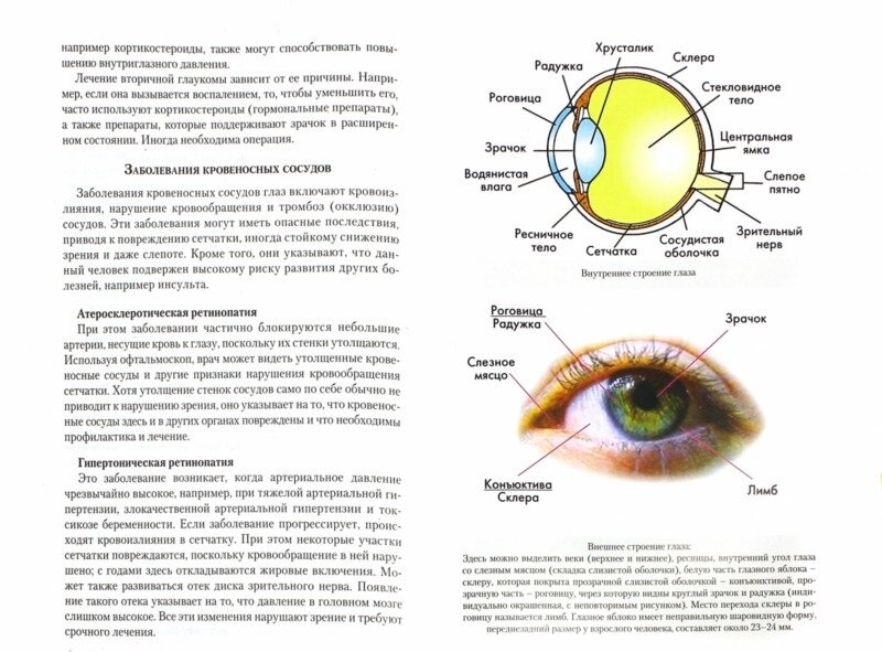 Болезни глаз. Причины, лечение, профилактика. Мифы и реальность - фото №10