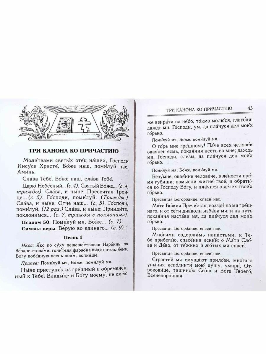 Молитвослов. Правило ко причастию. Молитвы за ближних. Каноны и акафисты. Молитвы на всякую потребу - фото №18