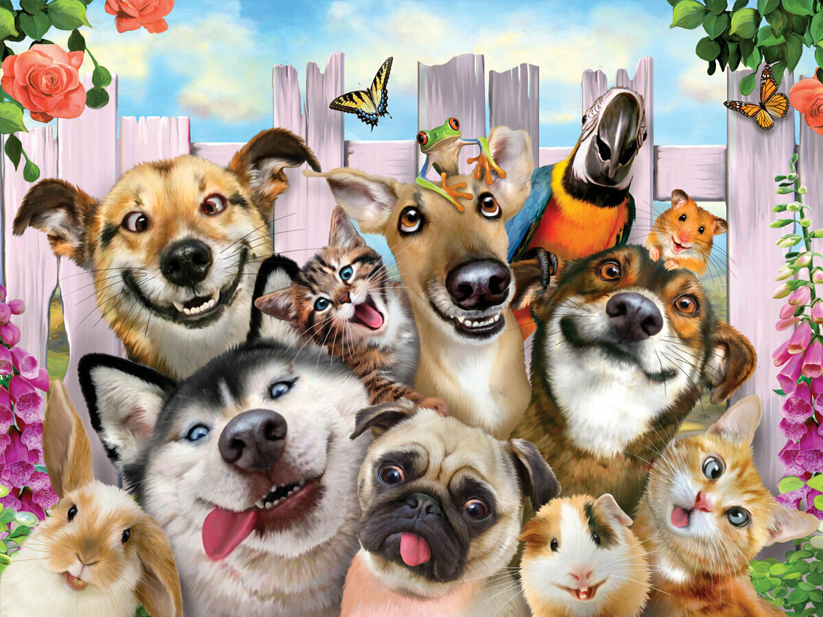 Стерео-пазл Prime 3D "Селфи домашних питомцев" ("Pet Selfie") 6+ Размер собранного пазла 61х46см. 500 деталей