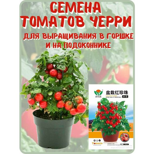 Семена томатов черри для подоконника и горшка