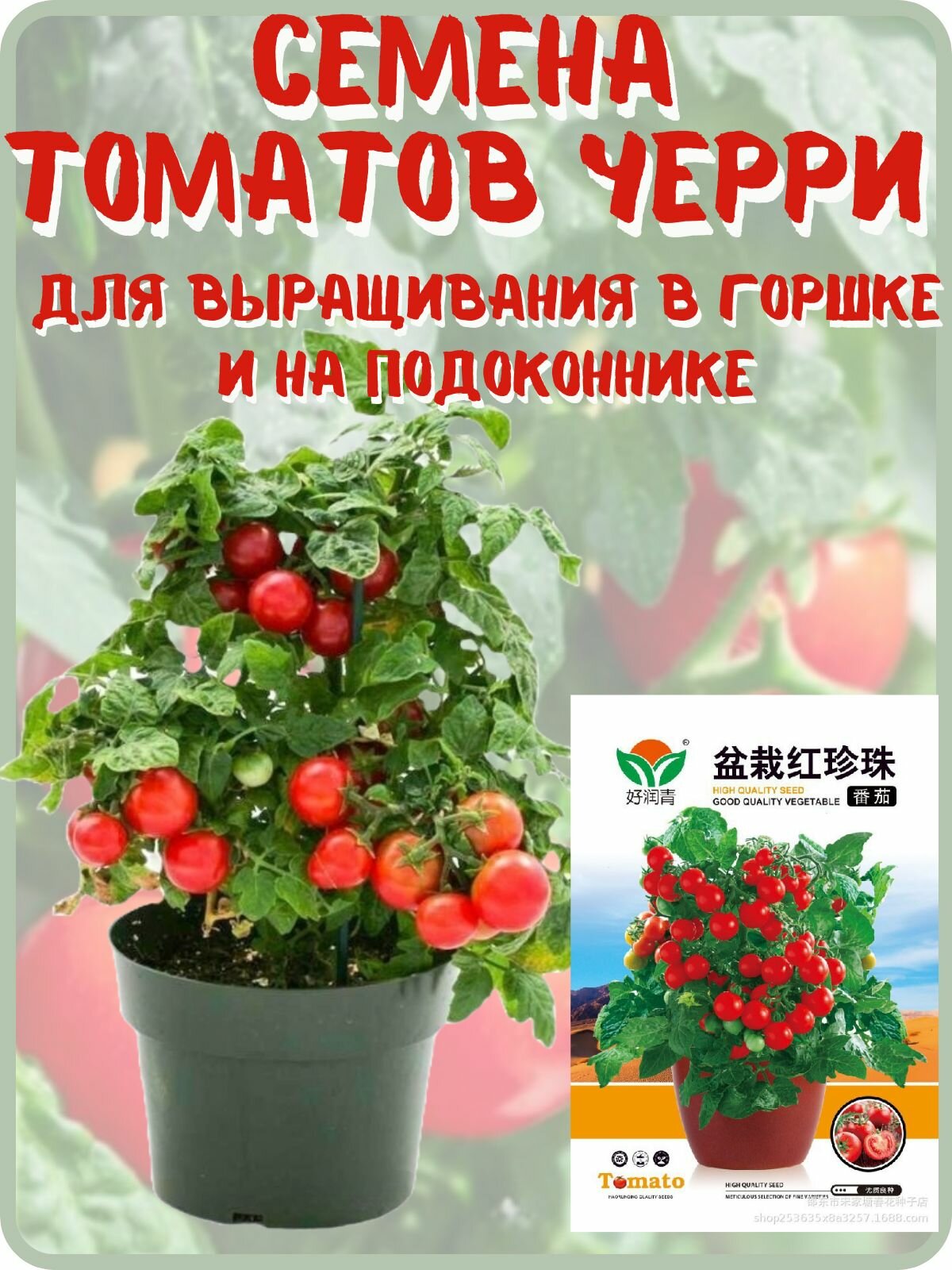 Семена томатов черри для подоконника и горшка