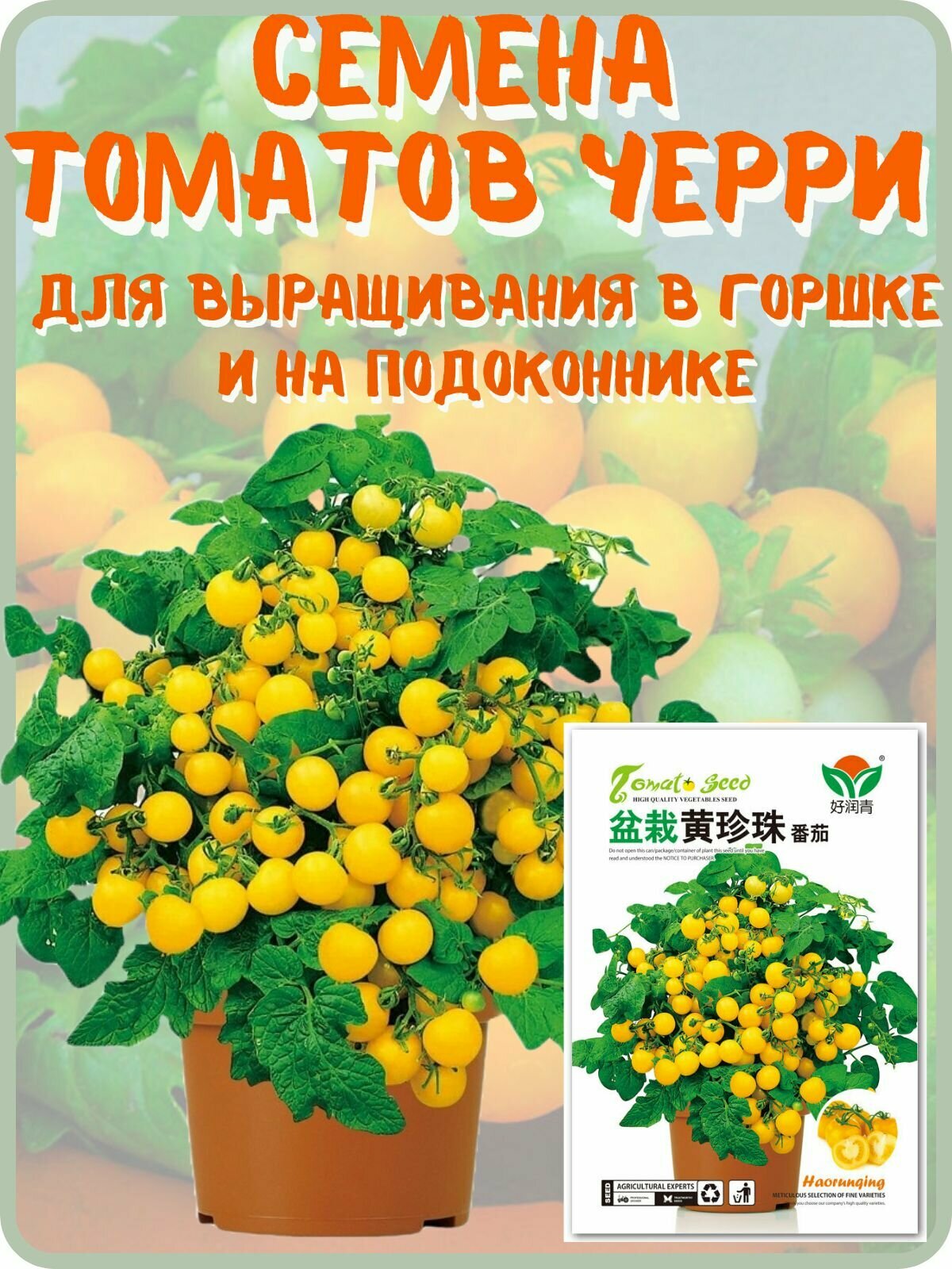 Семена помидоров черри для подоконника и горшка