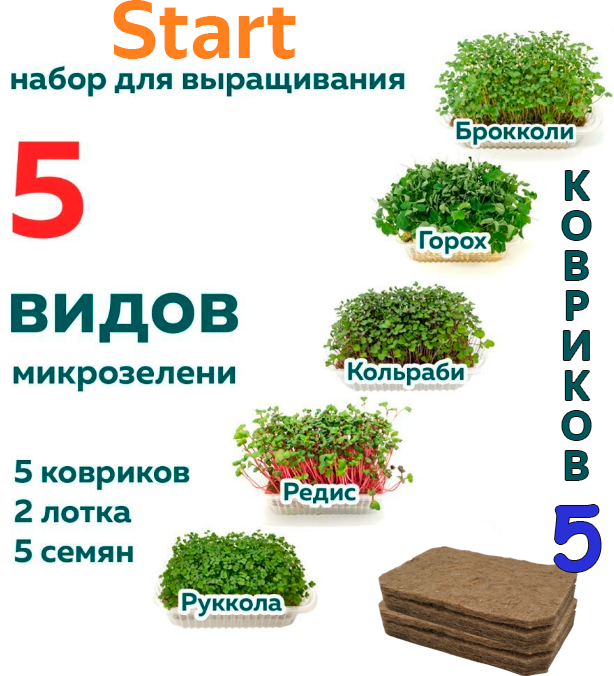 Набор для выращивания микрозелени Start 5 урожаев с ковриками и подробной инструкцией 