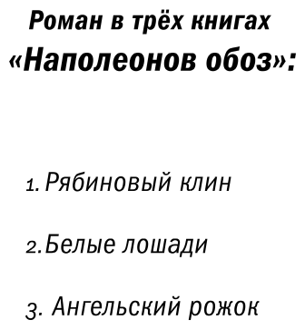 Наполеонов обоз. Книга 3: Ангельский рожок - фото №4