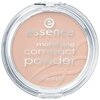 Essence пудра компактная матирующая Mattifying Compact Powder - изображение