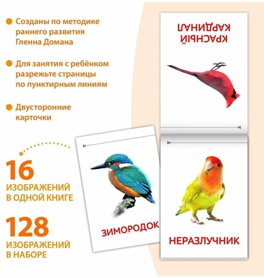 Набор обучающих книг по методике Г. Домана "Окружающий мир" (комплект из 8 книг) - фото №13