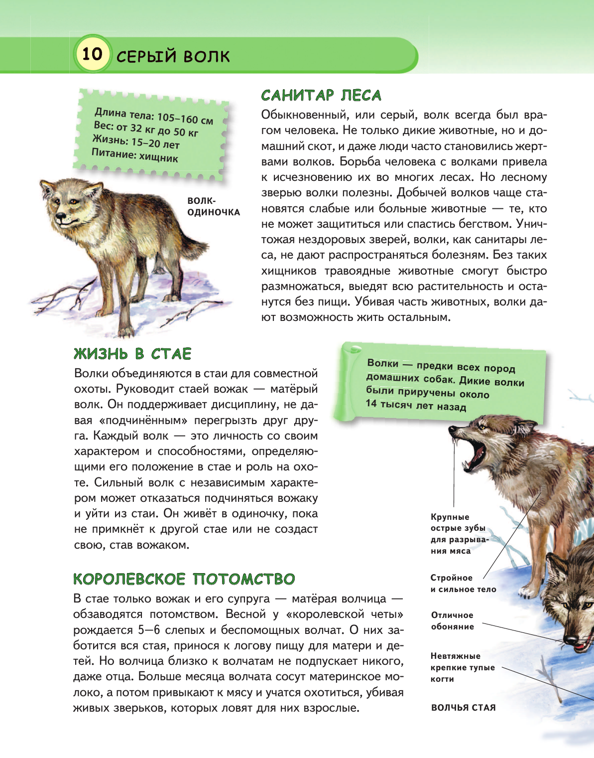 Животные (Школьник Юлия Константиновна) - фото №18