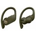 Беспроводные наушники Beats Powerbeats Pro, moss