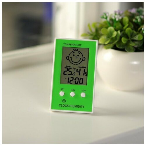 Термометр Luazon LTR-12 электронный указатель влажности часы микс 92000₽