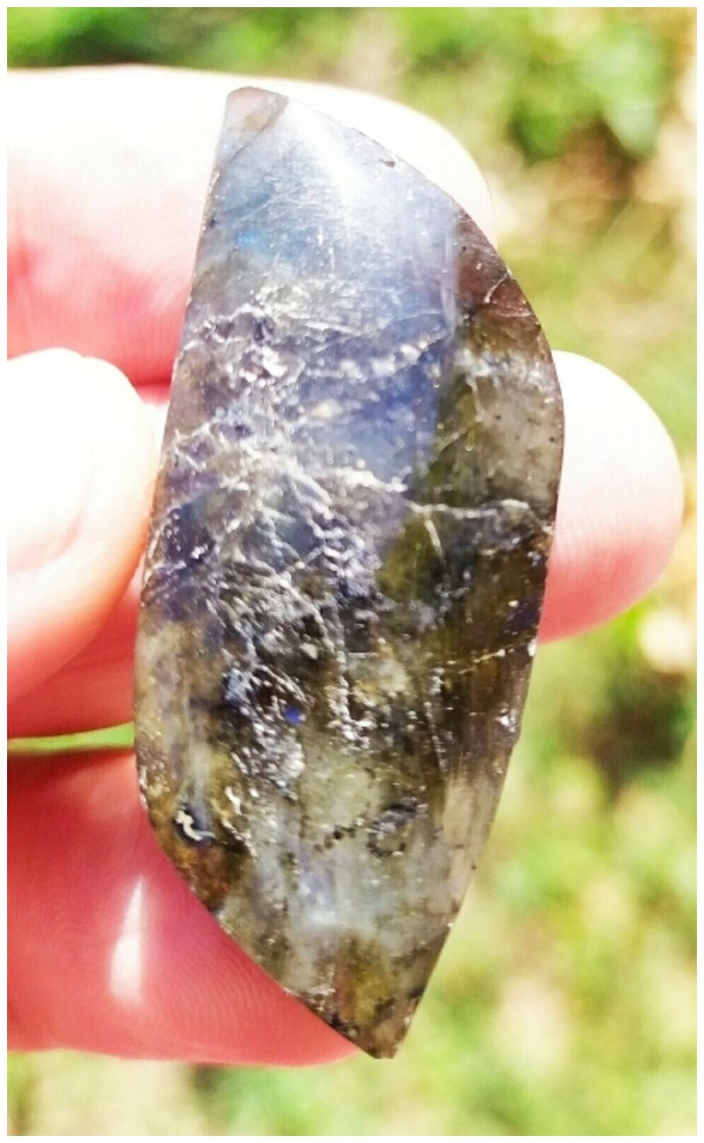 Лабрадор 14 г 50*19*7 мм — фото 1